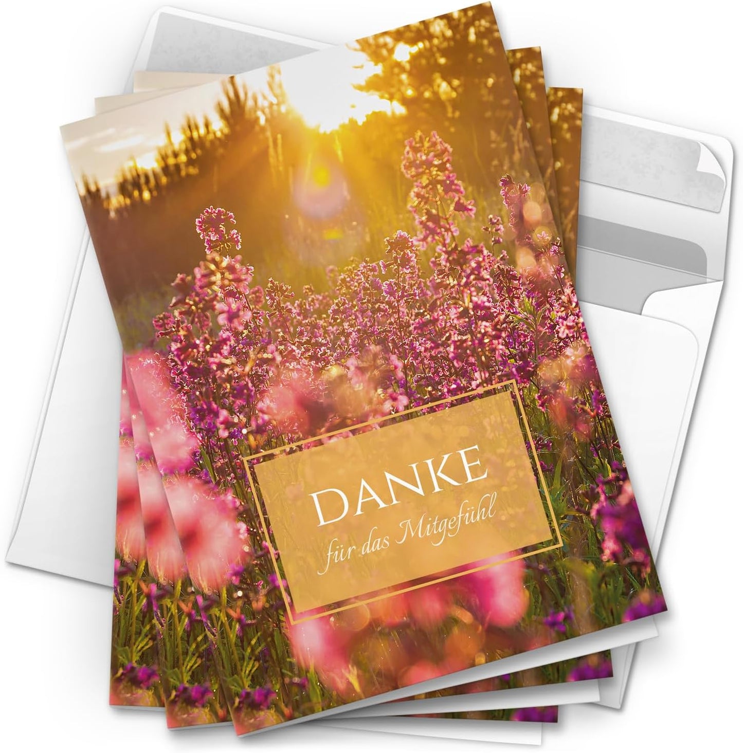 Danksagungskarten Trauer – 10 Klappkarten mit Umschlägen – Wiese im Sonnenschein – Trauerkarten Danksagung mit Text – Dankeskarten Trauer nach Beerdigung