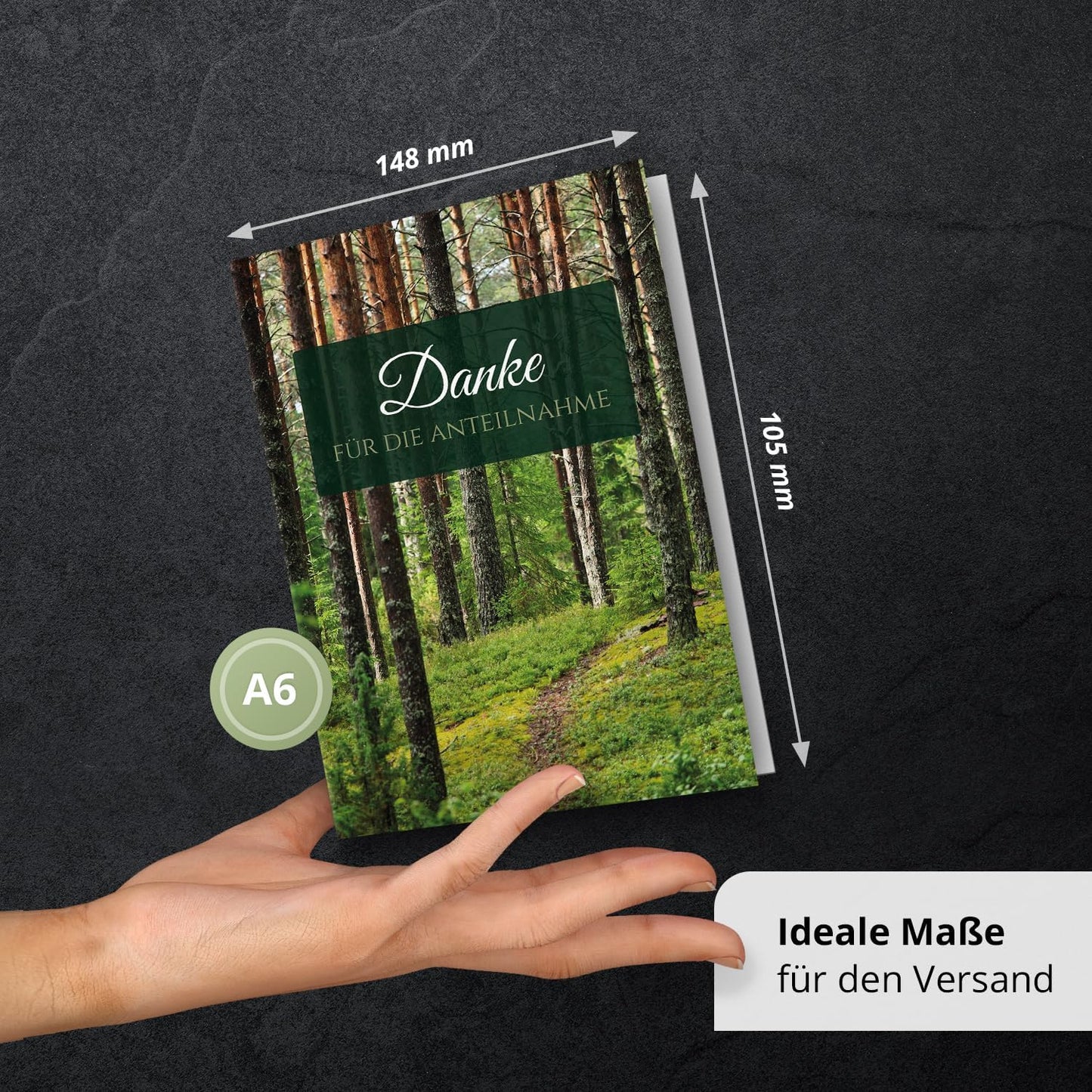 Danksagungskarten Trauer – 10 Klappkarten mit Umschlägen – Motiv: Waldweg – Trauerkarten Danksagung mit Text – Dankeskarten Trauer nach Beerdigung