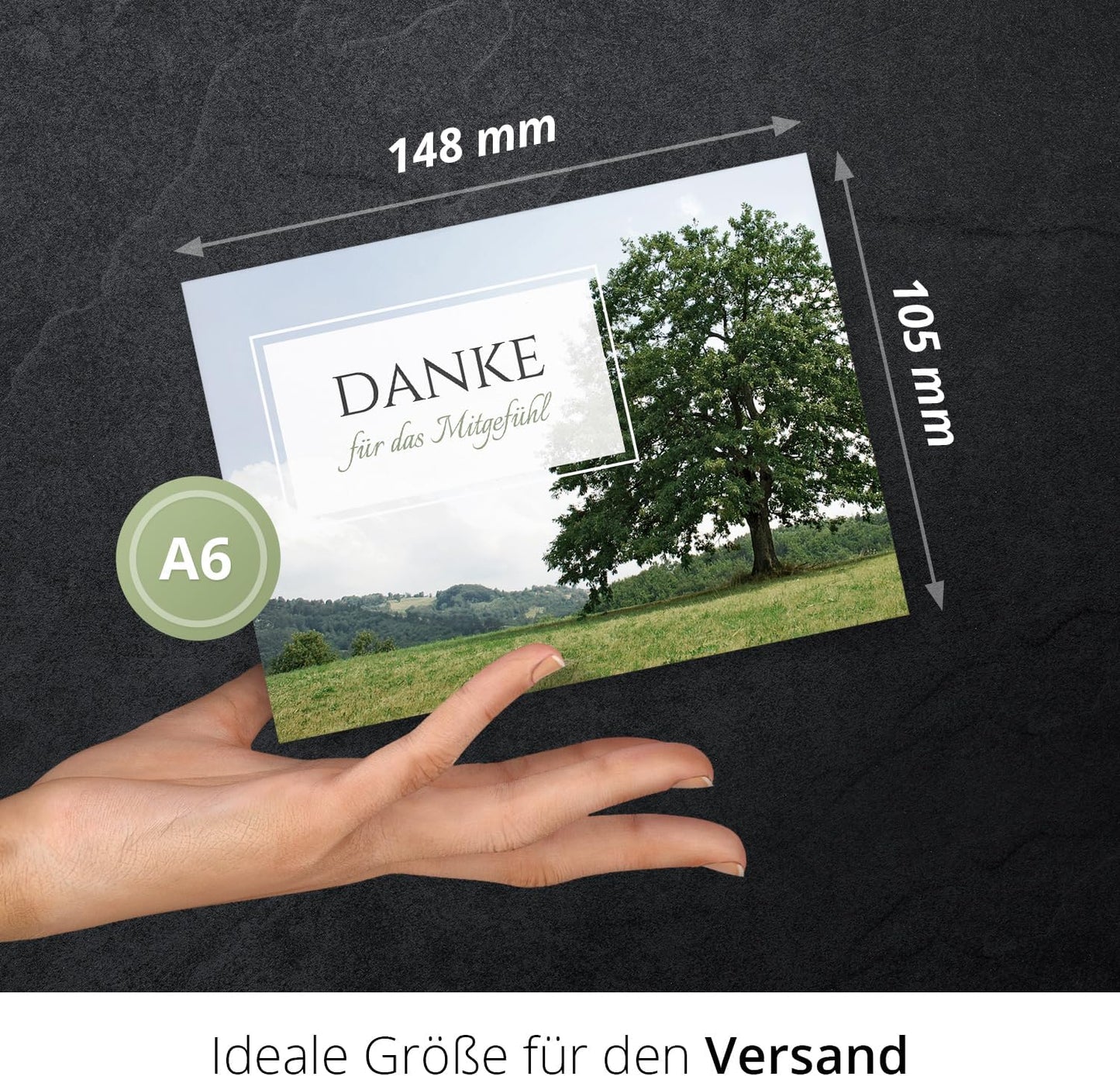 8 Trauer Danksagungskarten ausfüllbar mit Umschlag - Danke Trauerkarten Postkarten nach Beerdigung zum Ausfüllen mit Text Motiv Friedwald Baum Wiese