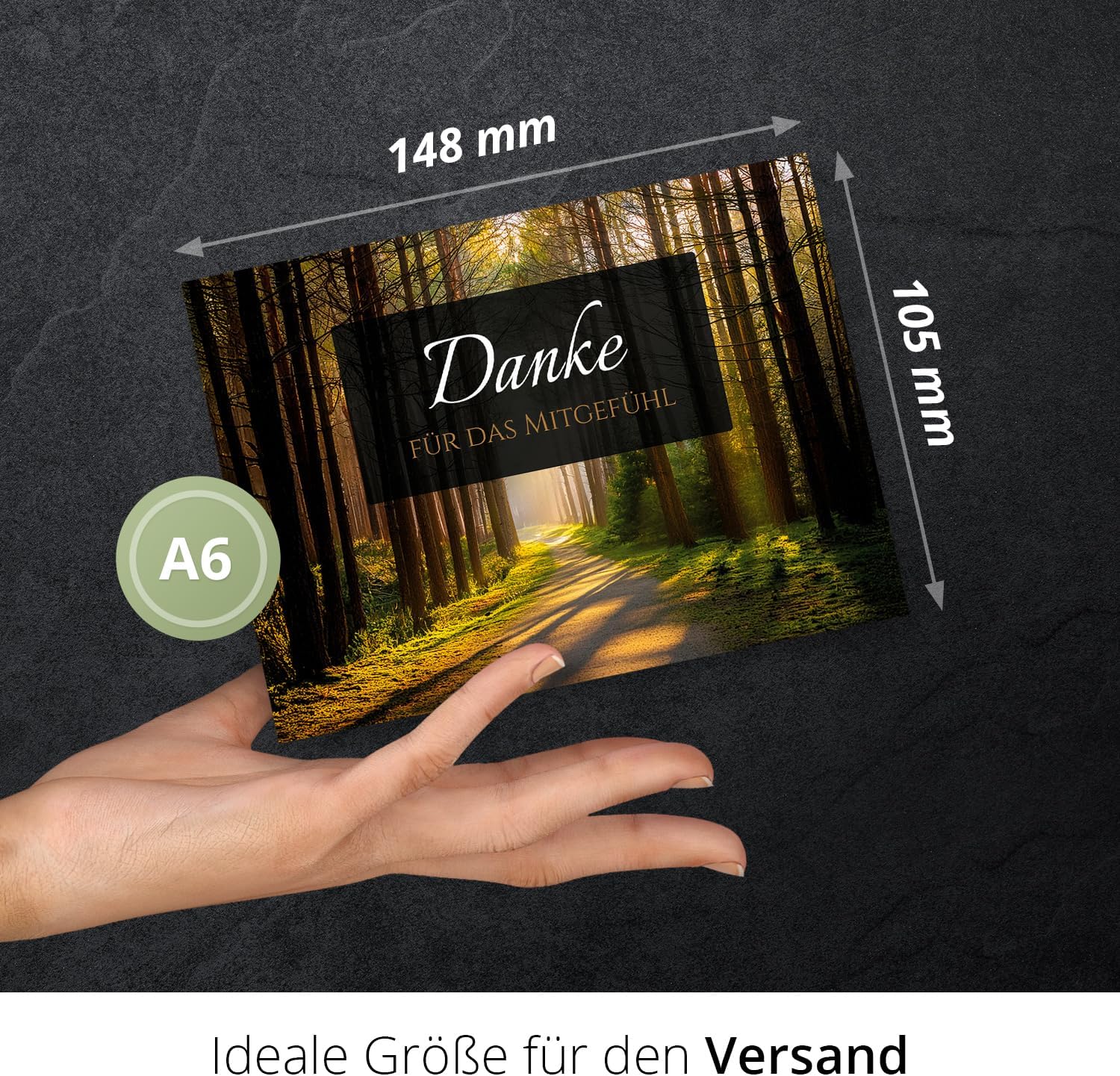8 Trauer Danksagungskarten ausfüllbar mit Umschlag - Danke Trauerkarten Postkarten Beerdigung Ausfüllen mit Text Motiv Friedwald Baum Lichtung Wald