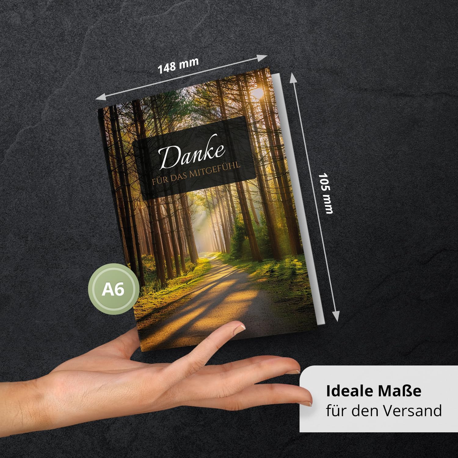 Danksagungskarten Trauer – 10 Klappkarten mit Umschlägen – Motiv: Waldpfad– Trauerkarten Danksagung mit Text – Dankeskarten Trauer nach Beerdigung
