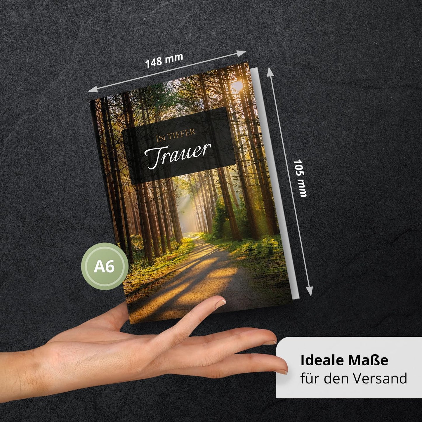 10 Trauerkarten mit Umschlag – Einladung zur Beerdigung oder Trauerfeier | Abschied | Hochwertige Klappkarten zur Todesanzeige – Motiv: Waldweg